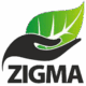 zigma logo (3)